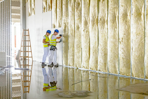 Best Insulation for Existing Homes  in USA